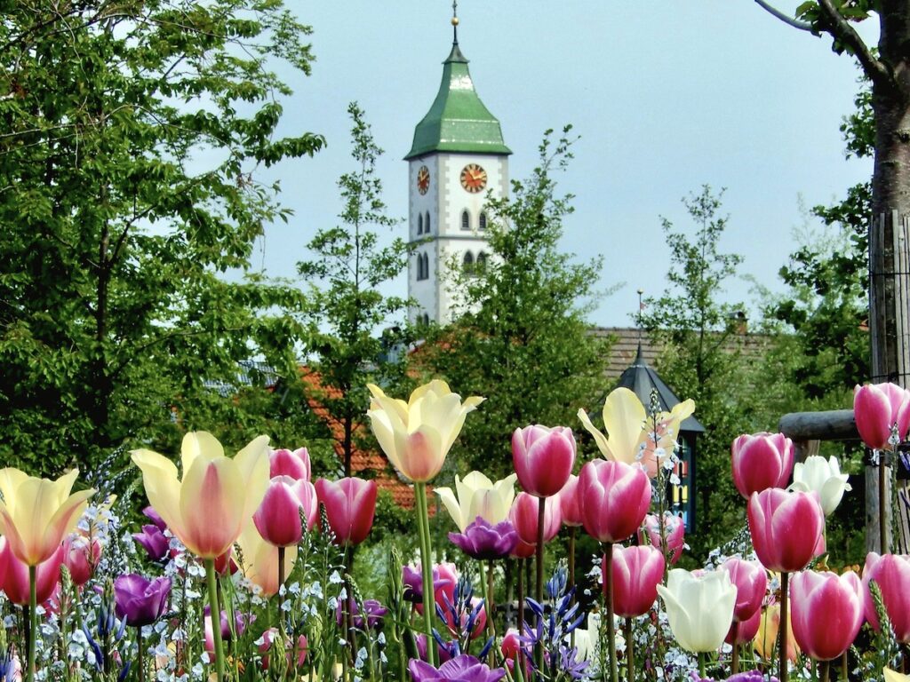 Blumen vor einem Kirchturm 